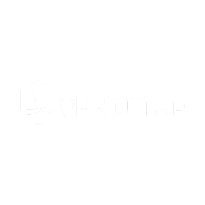 VProt MSP logo